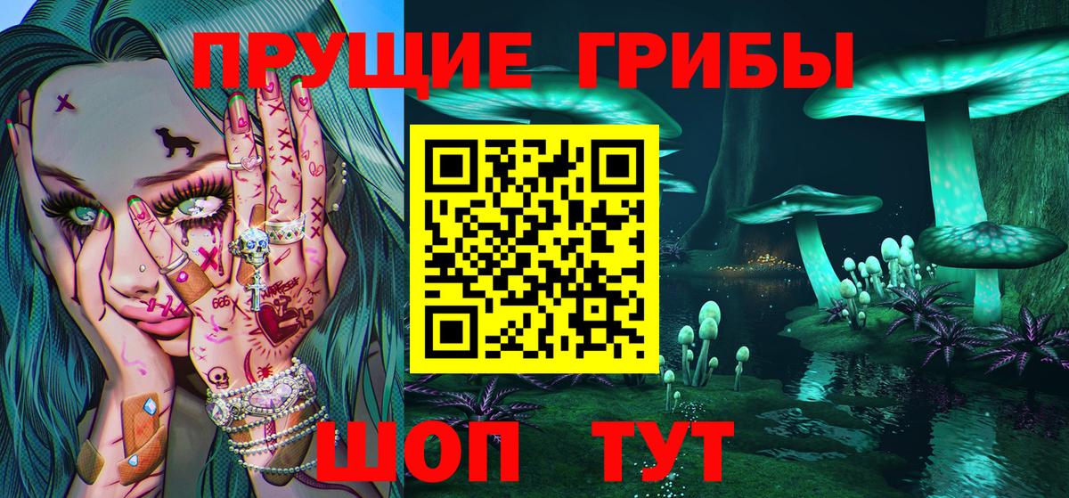 Псилоцибиновые грибы Psilocybe Донской