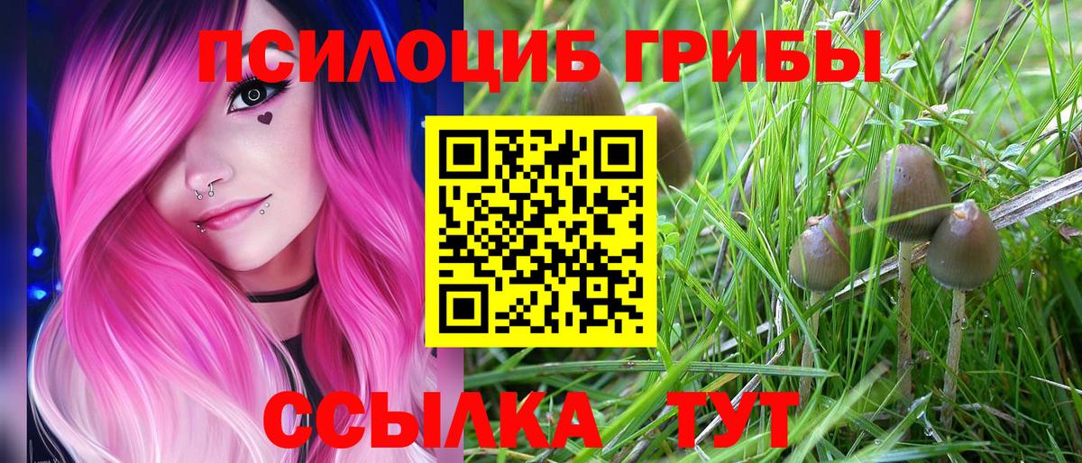 Галлюциногенные грибы Cubensis  Вход с VPN  Донской 